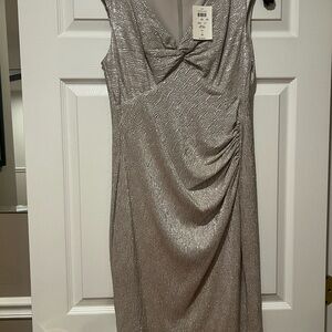 Cache Elegant Champagne Evening Dress